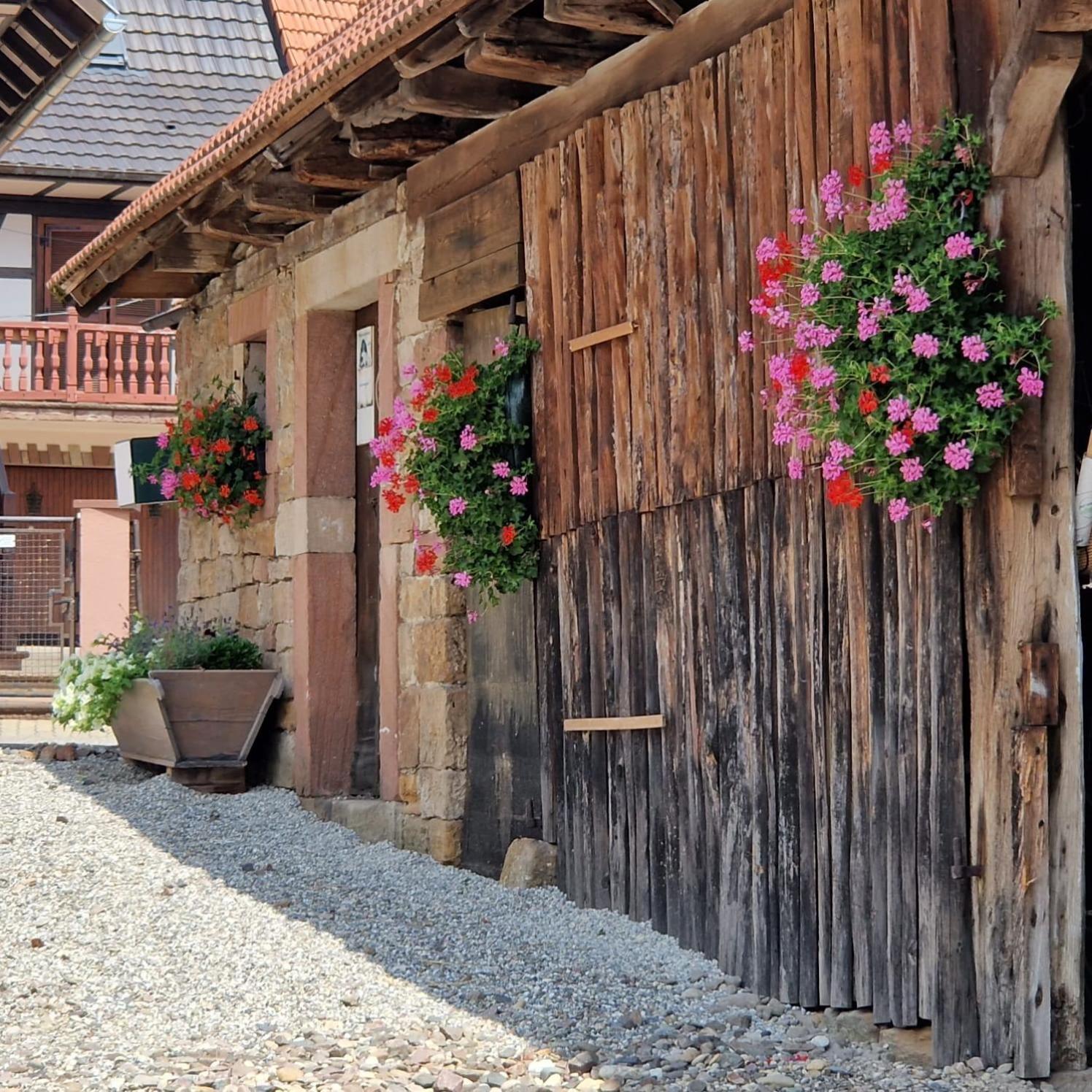Chambres D'Hotes Chez Linda Stephane Le Passe Compose Preuschdorf Esterno foto